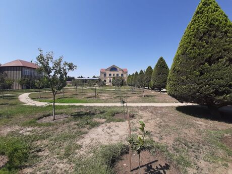 Mərdəkanda 8 otaqlı həyət evi satılır, 1 200 m², 2 500 000 AZN, şəkil 4 / 12