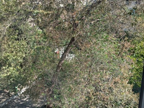 Nəriman Nərimanovda 4 otaqlı köhnə tikili mənzil satılır, 85 m², 335 000 AZN, şəkil 4 / 12