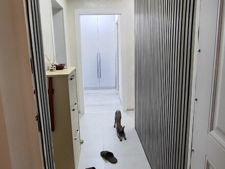 3 rooms · 60 m² · floor 1/5, Biləcəri
