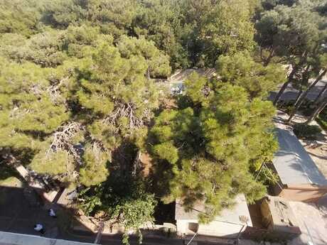 4-room old-build apartment for sale in Yasamal, 86 m², 258 000 AZN, photo 3 / 12