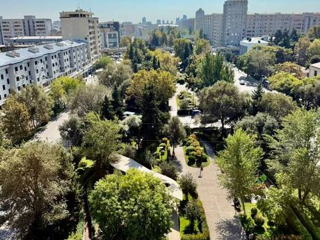 3 rooms · 174 m²