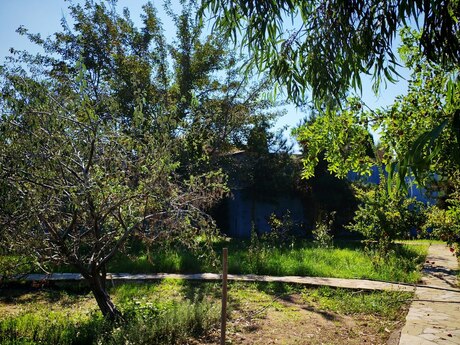 5-room house for sale in Mərdəkan, 400 m², 950 000 AZN, photo 4 / 12