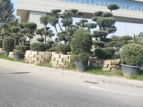 Bülbülədə 3 otaqlı həyət evi satılır, 85 m², 79 500 AZN, şəkil 2 / 12
