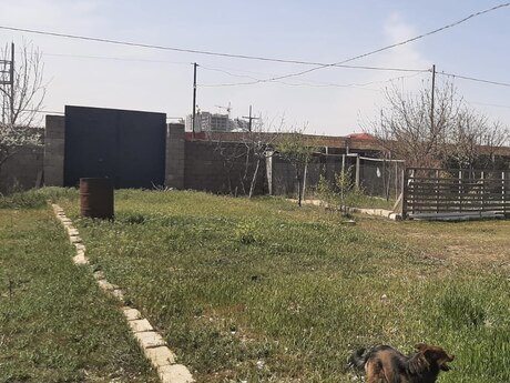 5 otaqlı ev, 160 m², Abşeron, 115 000 AZN