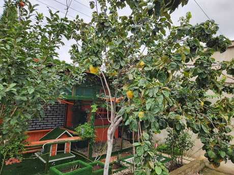 5-room house for sale in Binəqədi, 184 m², 550 000 AZN, photo 4 / 12