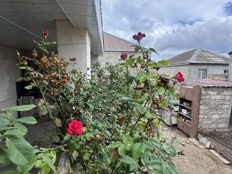 Hövsanda 3 otaqlı həyət evi satılır, 90 m², 115 000 AZN, şəkil 5 / 12