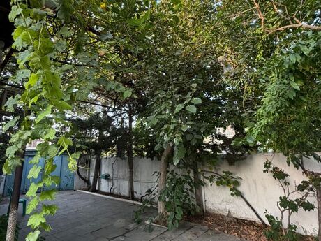 3 otaqlı ev, 55 m², Sabunçu, 500 AZN