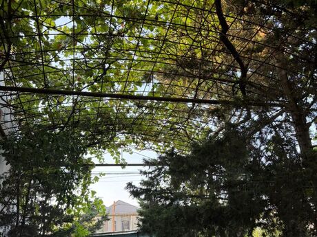 Bilgəhdə 3 otaqlı həyət evi kirayə verilir, 55 m², 500 AZN/ay, şəkil 2 / 5