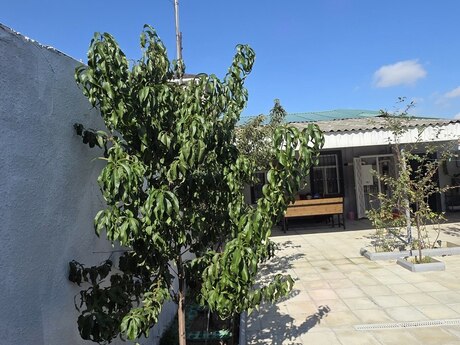 Yeni Suraxanıda 2 otaqlı həyət evi satılır, 48 m², 120 000 AZN, şəkil 4 / 12