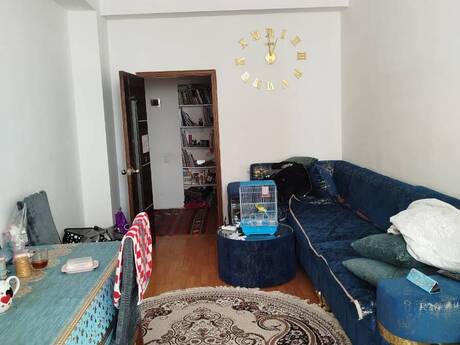 Объявление №6536896 - Баку, пос. Ахмедлы, 1-комн., 46 м², 8/17 этаж
