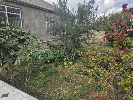 4-room house for sale in Biləcəri, 130 m², 165 000 AZN, photo 4 / 12