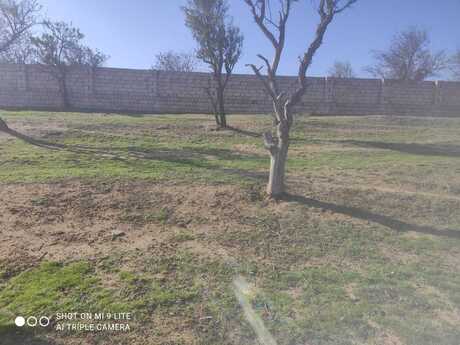 Elan №6537042 - Bakı, Masazır q., 10 sot