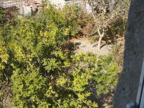 Şüvəlanda 5 otaqlı həyət evi satılır, 300 m², 450 000 AZN, şəkil 5 / 12