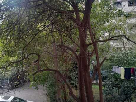 Azadlıq Prospektidə 2 otaqlı köhnə tikili mənzil satılır, 52 m², 142 000 AZN, şəkil 3 / 12