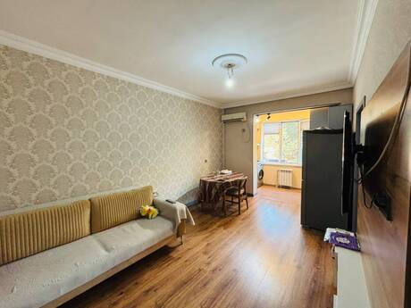 3 otaq · 51 m²