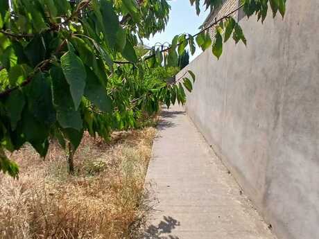 Novxanıda 9 otaqlı həyət evi satılır, 385 m², 195 000 AZN, şəkil 3 / 12