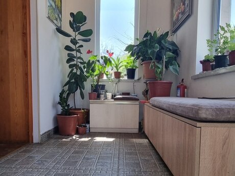 Yeni Ramanada 4 otaqlı həyət evi satılır, 220 m², 220 000 AZN, şəkil 5 / 12