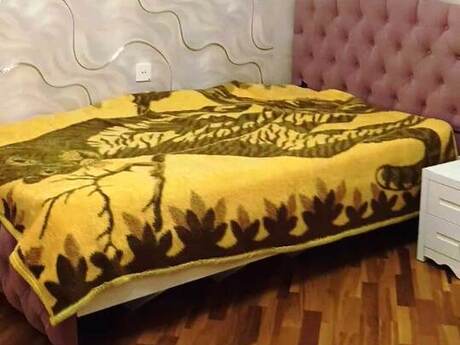 Abşeronda 2 otaqlı həyət evi kirayə verilir, 70 m², 450 AZN/ay, şəkil 3 / 5