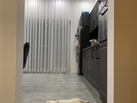 Badamdarda 5 otaqlı həyət evi satılır, 200 m², 520 000 AZN, şəkil 5 / 12