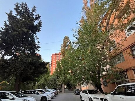 Elan №6542949 - Bakı, Nəriman Nərimanov m., 2 otaqlı, 43 m², 5/5 mərtəbə