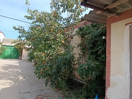 Сдаётся 3-комнатный дом, Bakıxanov, 85 м², 600 AZN/мес, фото 4 / 12