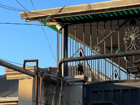 4-room house for sale in Biləcəri, 153 m², 168 000 AZN, photo 4 / 12