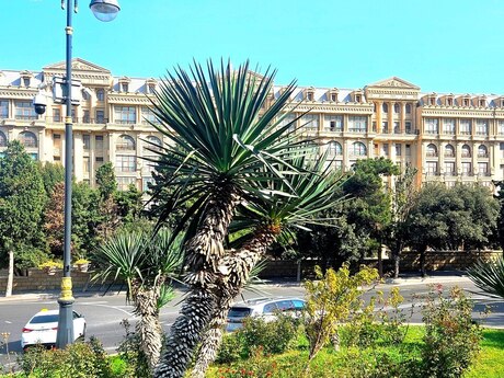 Elan №6543836 - Bakı, İçəri Şəhər m., 3 otaqlı, 110 m², 5/5 mərtəbə