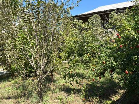 Savalanda 3 otaqlı həyət evi satılır, 140 m², 80 000 AZN, şəkil 3 / 12