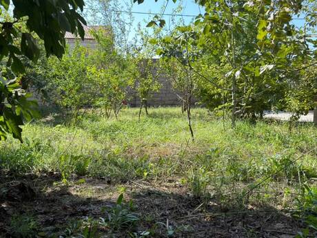 3 otaq · 140 m², Savalan