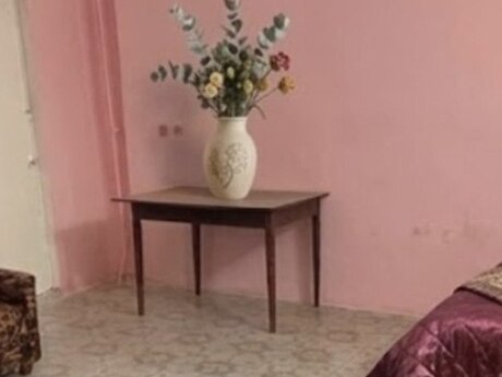 Bakıxanovda 1 otaqlı həyət evi kirayə verilir, 23 m², 300 AZN/ay, şəkil 4 / 4