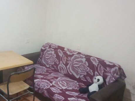 Əhmədlidə 1 otaqlı həyət evi kirayə verilir, 32 m², 280 AZN/ay, şəkil 2 / 6