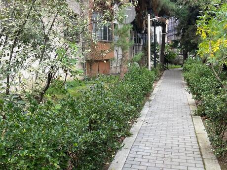 Elan №6546408 - Bakı, 20 Yanvar m., 2 otaqlı, 35 m², 2/5 mərtəbə