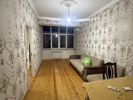 2 otaq · 53 m²