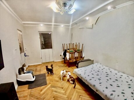 Neftçilərdə 2 otaqlı köhnə tikili mənzil satılır, 55 m², 140 000 AZN, şəkil 2 / 12