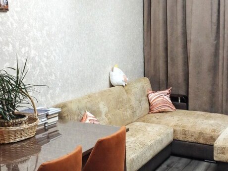Zığda 2 otaqlı köhnə tikili mənzil satılır, 56 m², 117 000 AZN, şəkil 5 / 12