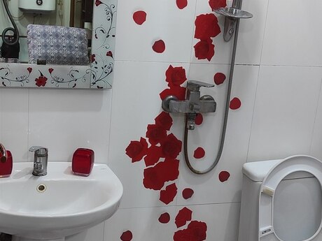 Bakıxanovda 1 otaqlı həyət evi kirayə verilir, 24 m², 320 AZN/ay, şəkil 3 / 9