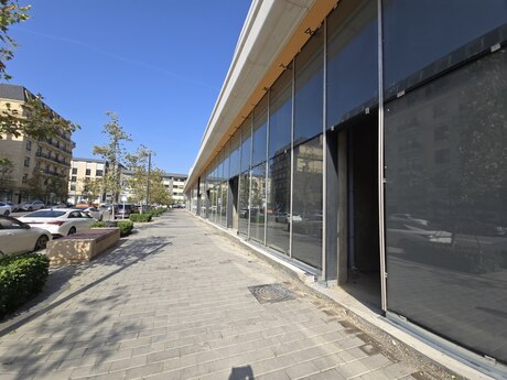 Elan №6548532 - Bakı, Şah İsmayıl Xətai m., 1142 m²