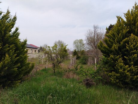 Объявление №6548767 - Баку, пос. Пиршаги, 15 сот