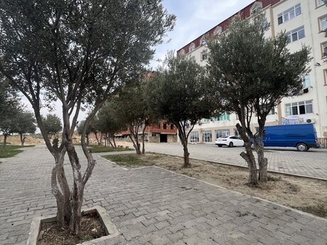 2-room new-build apartment for sale in Masazır, 68,5 m², 78 775 AZN, photo 3 / 12