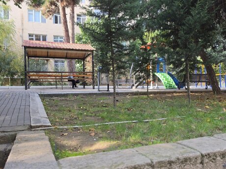 2-комн. · 50 m²