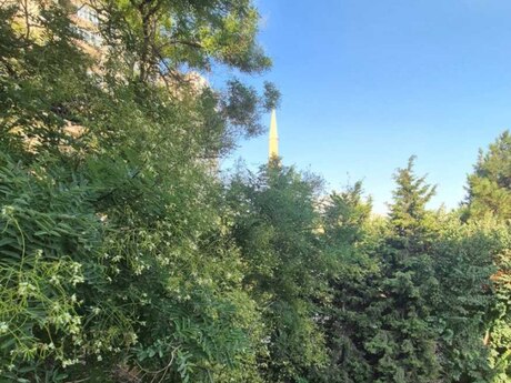 İnşaatçılarda 2 otaqlı köhnə tikili mənzil satılır, 55 m², 159 999 AZN, şəkil 4 / 12