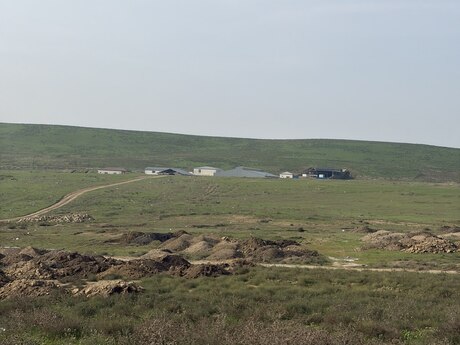Elan №6550784 - Bakı, Mehdiabad q., 55 sot