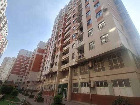 5 otaq · 176 m²