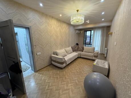 2 otaq · 53 m²
