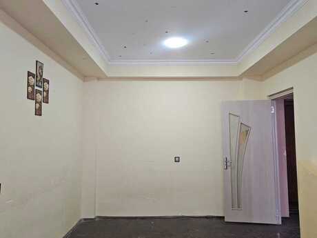 2 otaq · 55 m²