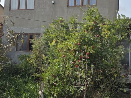 Объявление №6555154 - Баку, пос. Ени Сураханы, 3-комн., 130 м²