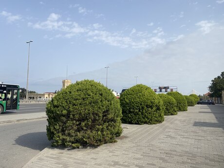 Binədə 3 otaqlı həyət evi satılır, 130 m², 88 000 AZN, şəkil 3 / 12