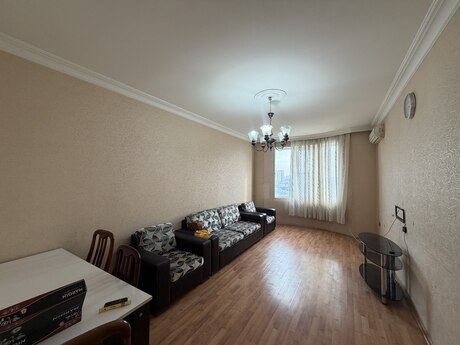 2 otaq · 50 m²