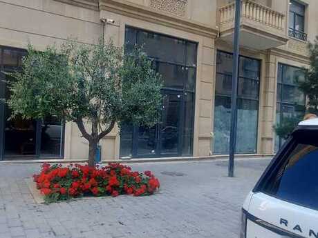 Elan №6556794 - Bakı, Ağ şəhər q., 46 m²