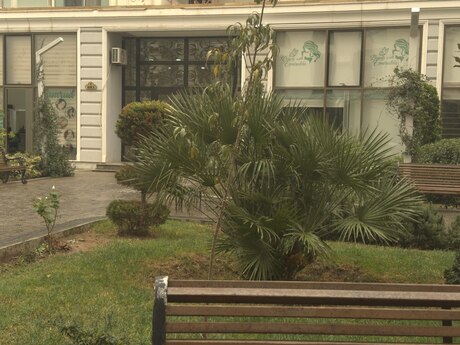 Zümrüd Residence kompleksində 2 otaqlı yeni tikili mənzil satılır, 57 m², 260 000 AZN, şəkil 2 / 12